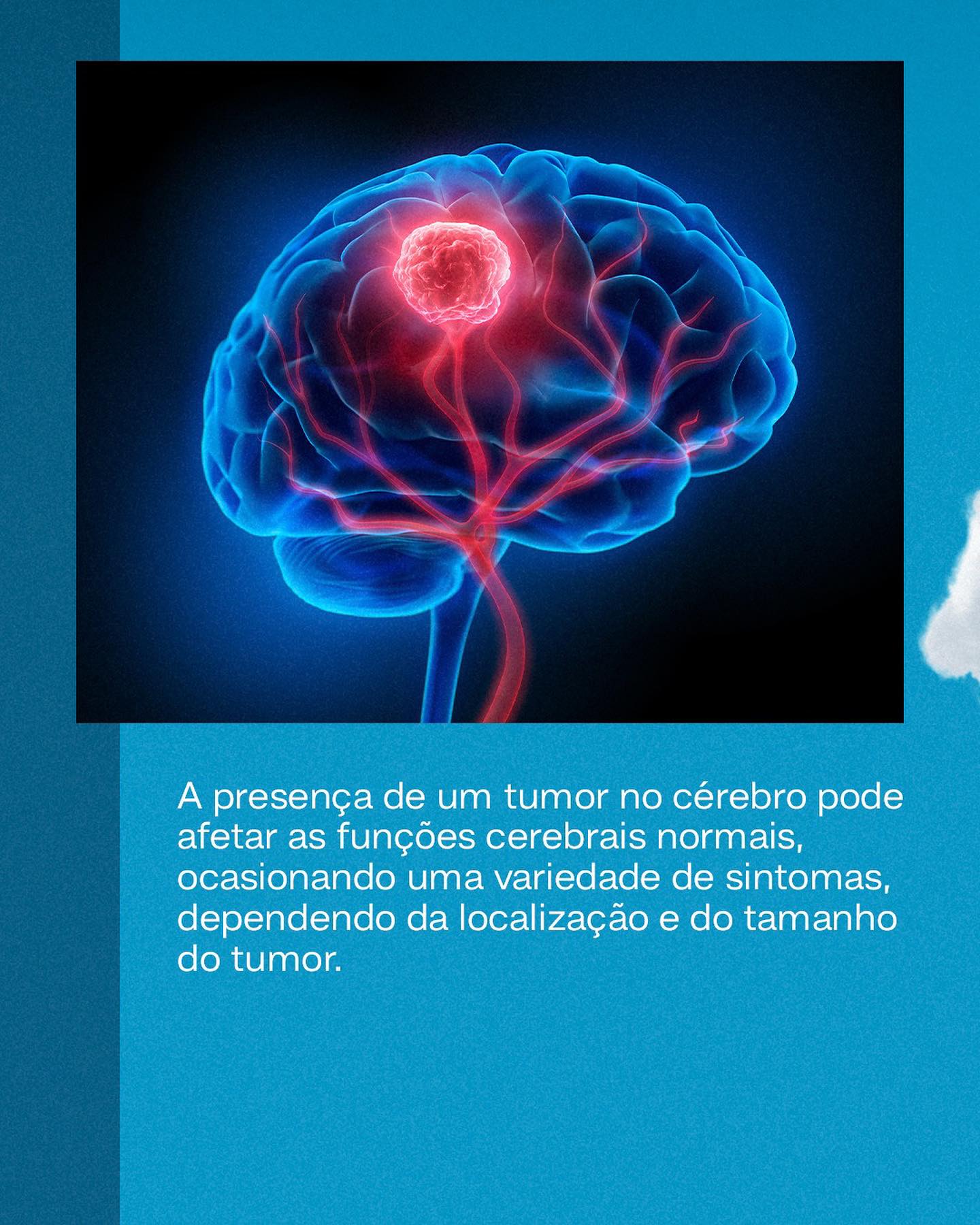 Você viu essa notícia?
