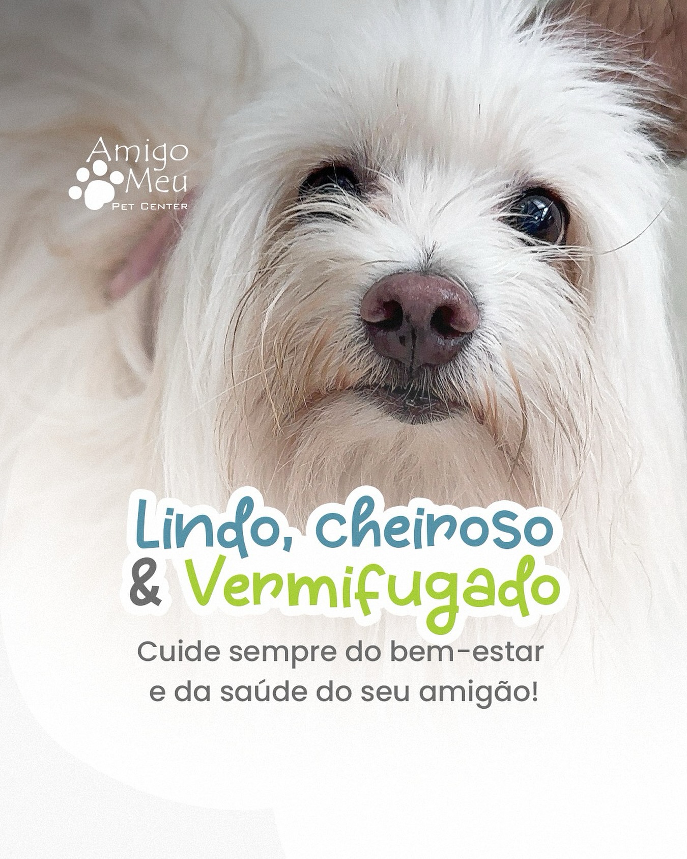 Cuide sempre do bem - estar e da saude do seu amigão