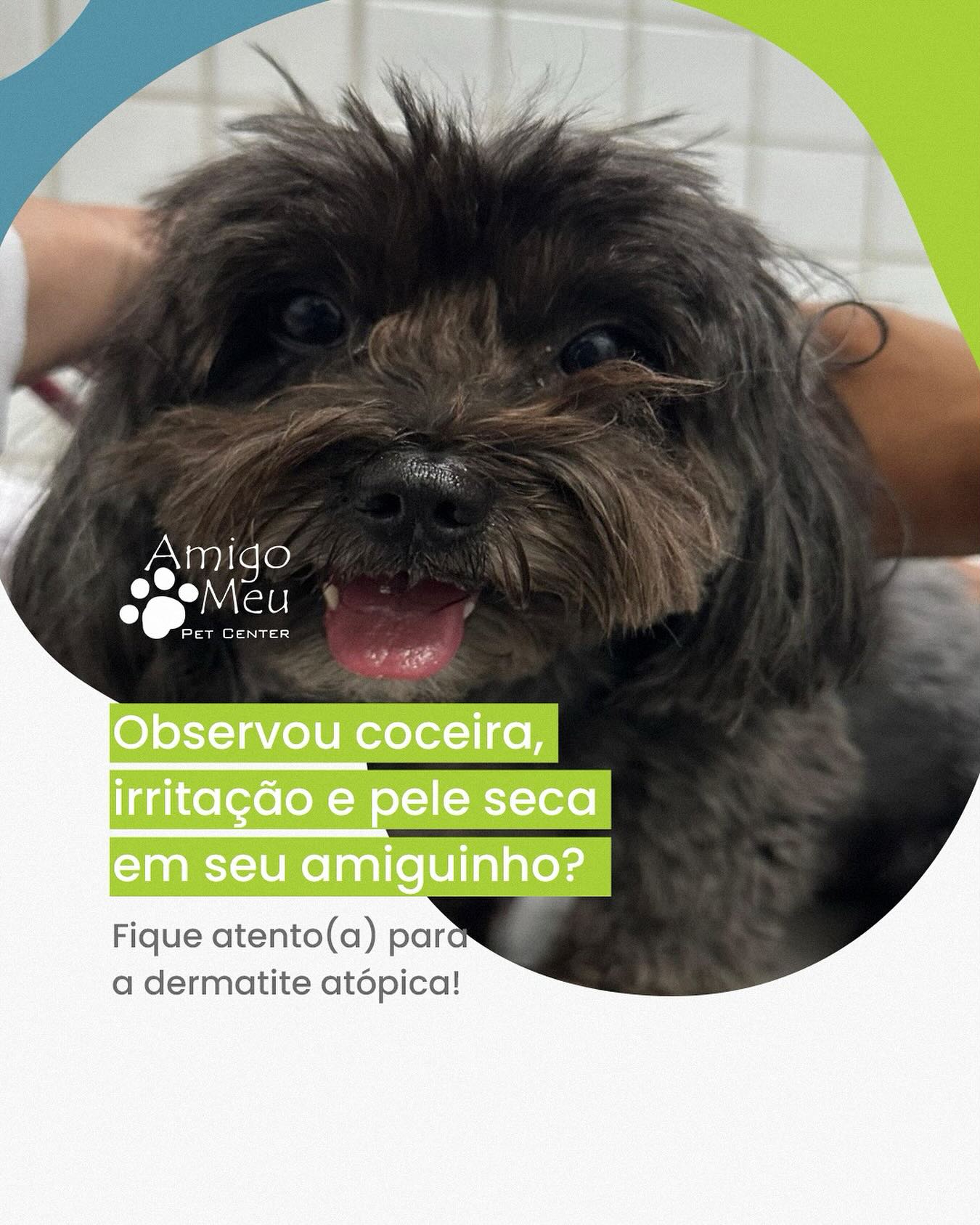 Tutores, fiquem atentos à dermatite atópica!