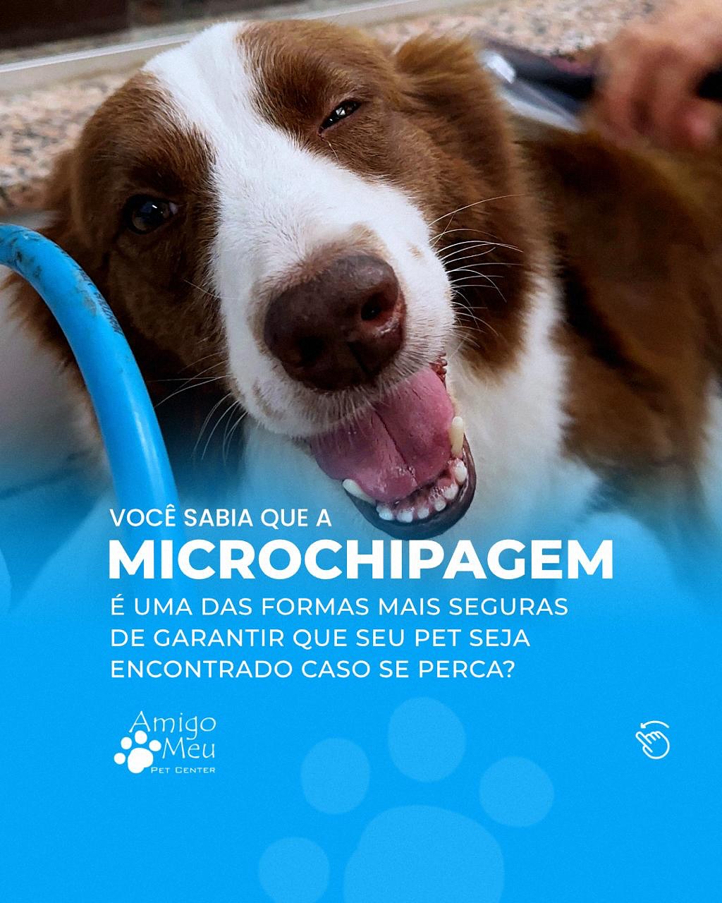 Para que serve a microchipagem ?