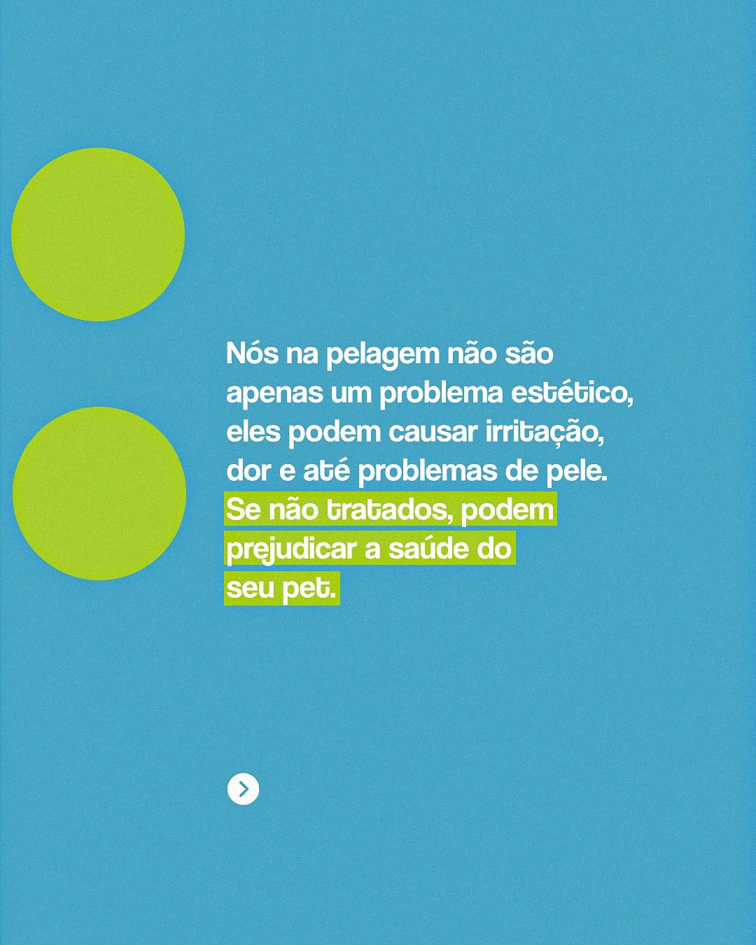Seu pet está com nós na pelagem?