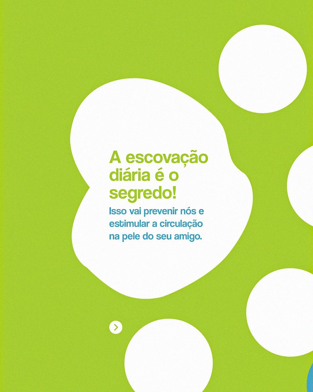 Seu pet está com nós na pelagem?