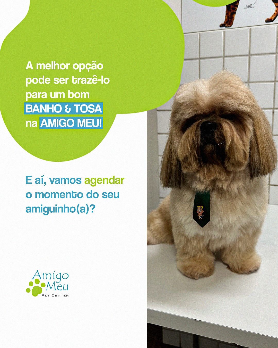 Seu pet está com nós na pelagem?