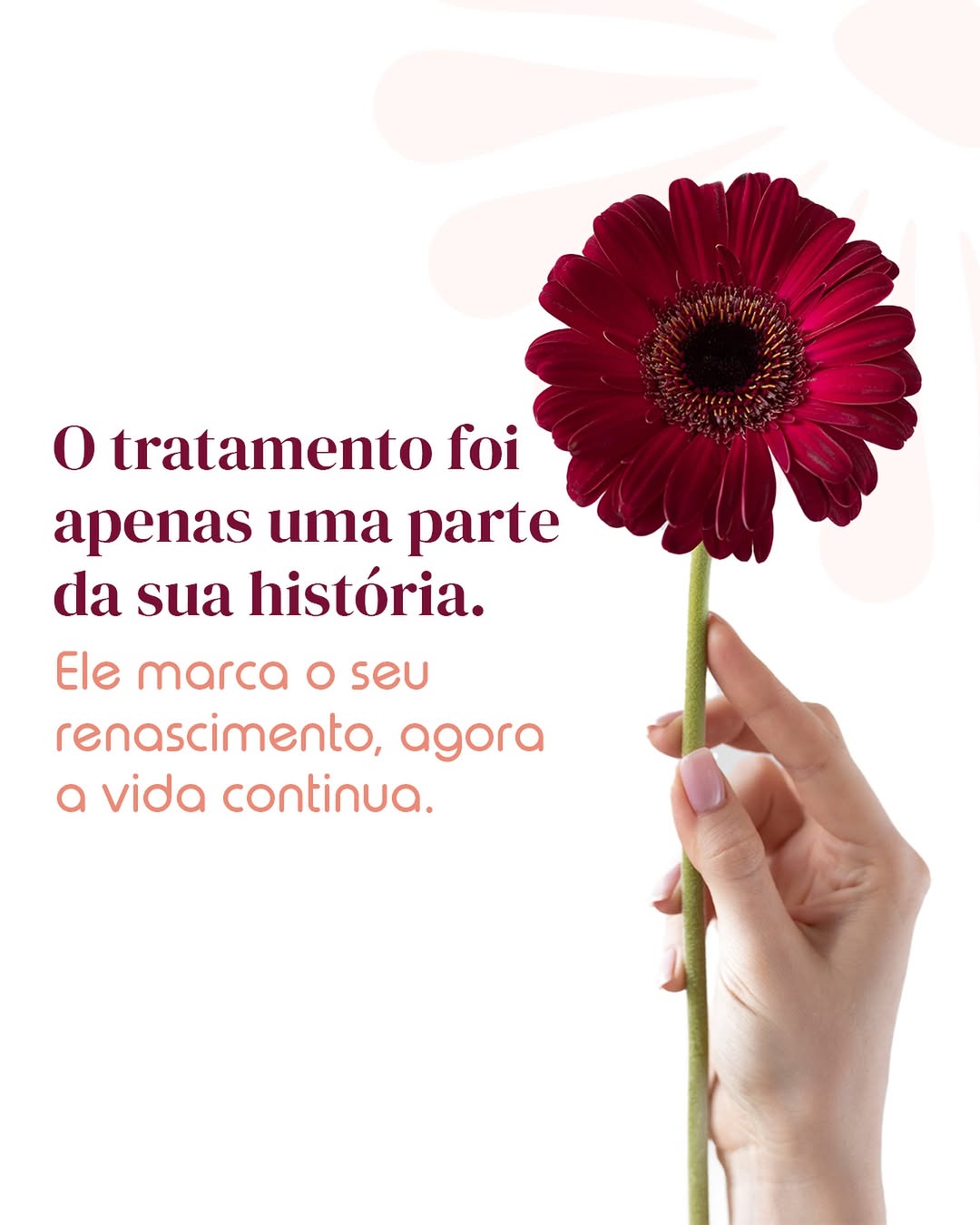 história