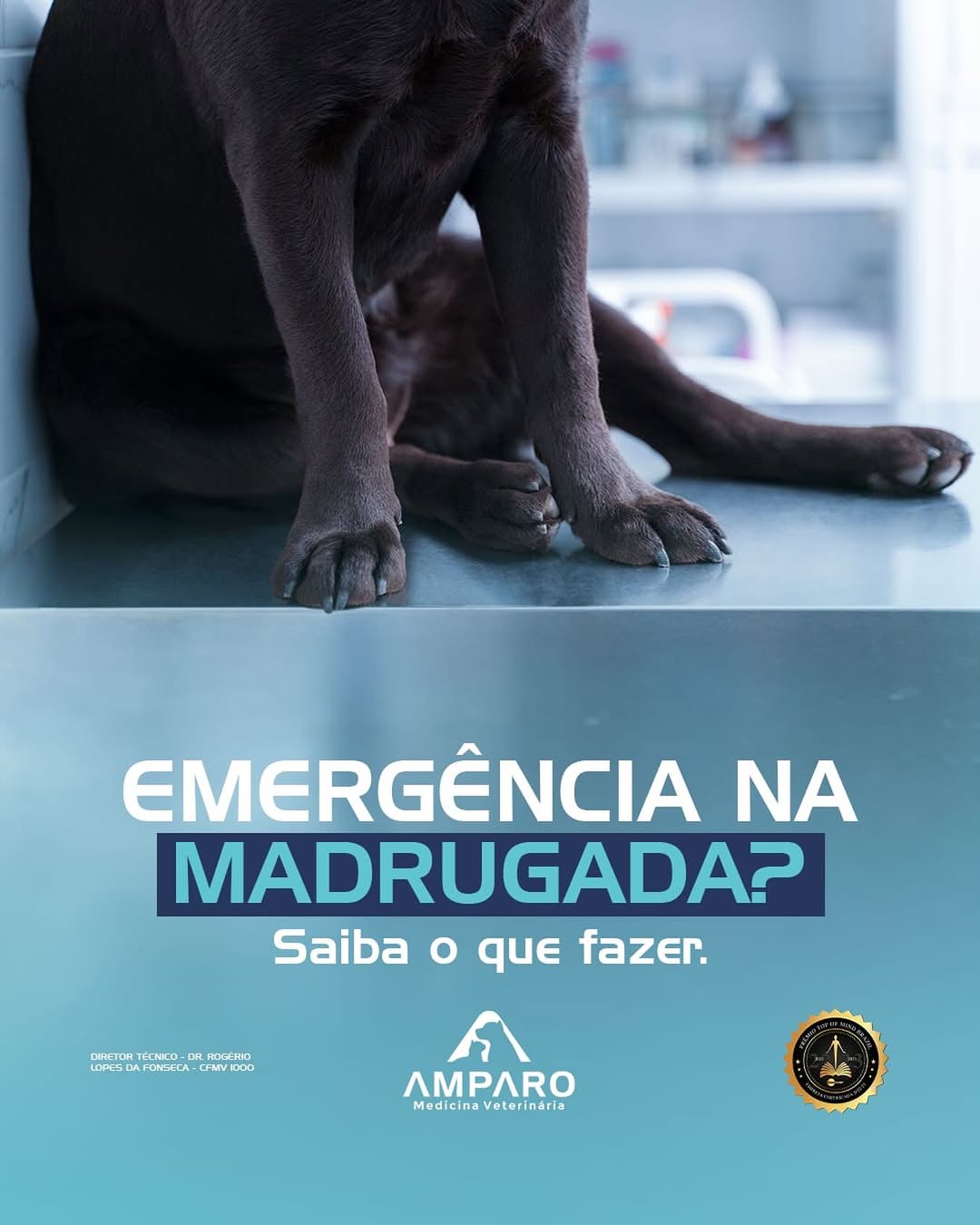 Emergência na madrugada? Saiba o que fazer.