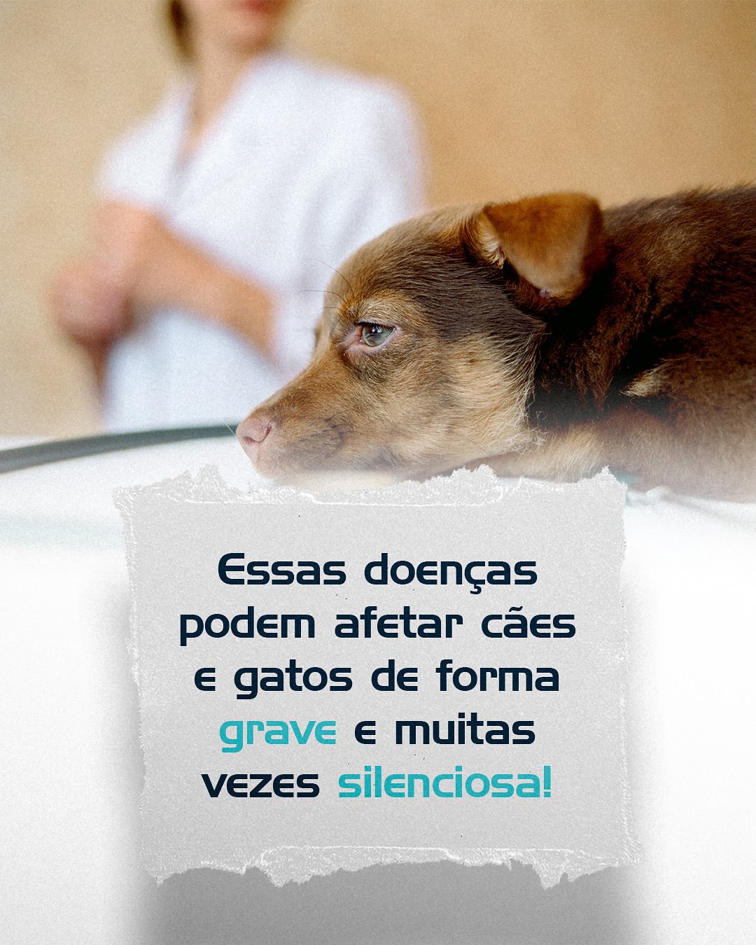 Cuide com informação. Prevenir é o melhor tratamento.