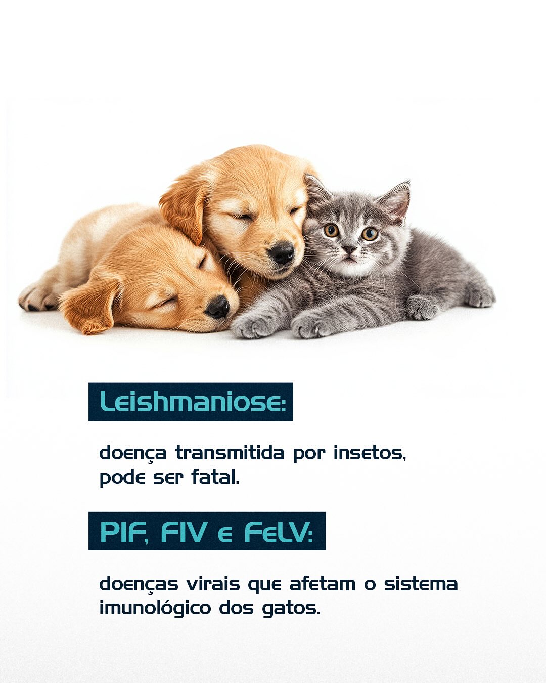 Cuide com informação. Prevenir é o melhor tratamento.