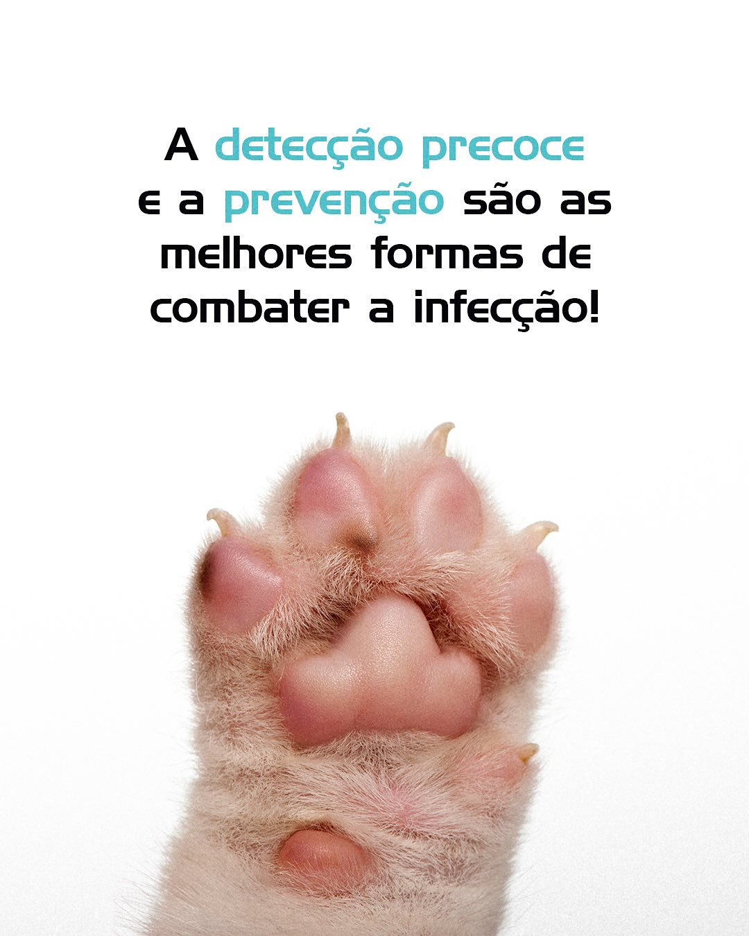 Cuide com informação. Prevenir é o melhor tratamento.
