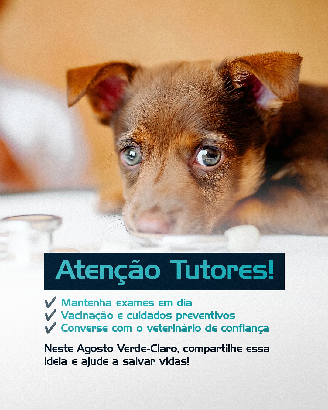 Cuide com informação. Prevenir é o melhor tratamento.
