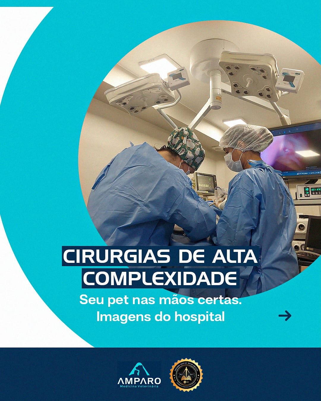 No Hospital Amparo Vet, estamos preparados para oferecer o melhor cuidado possíve!