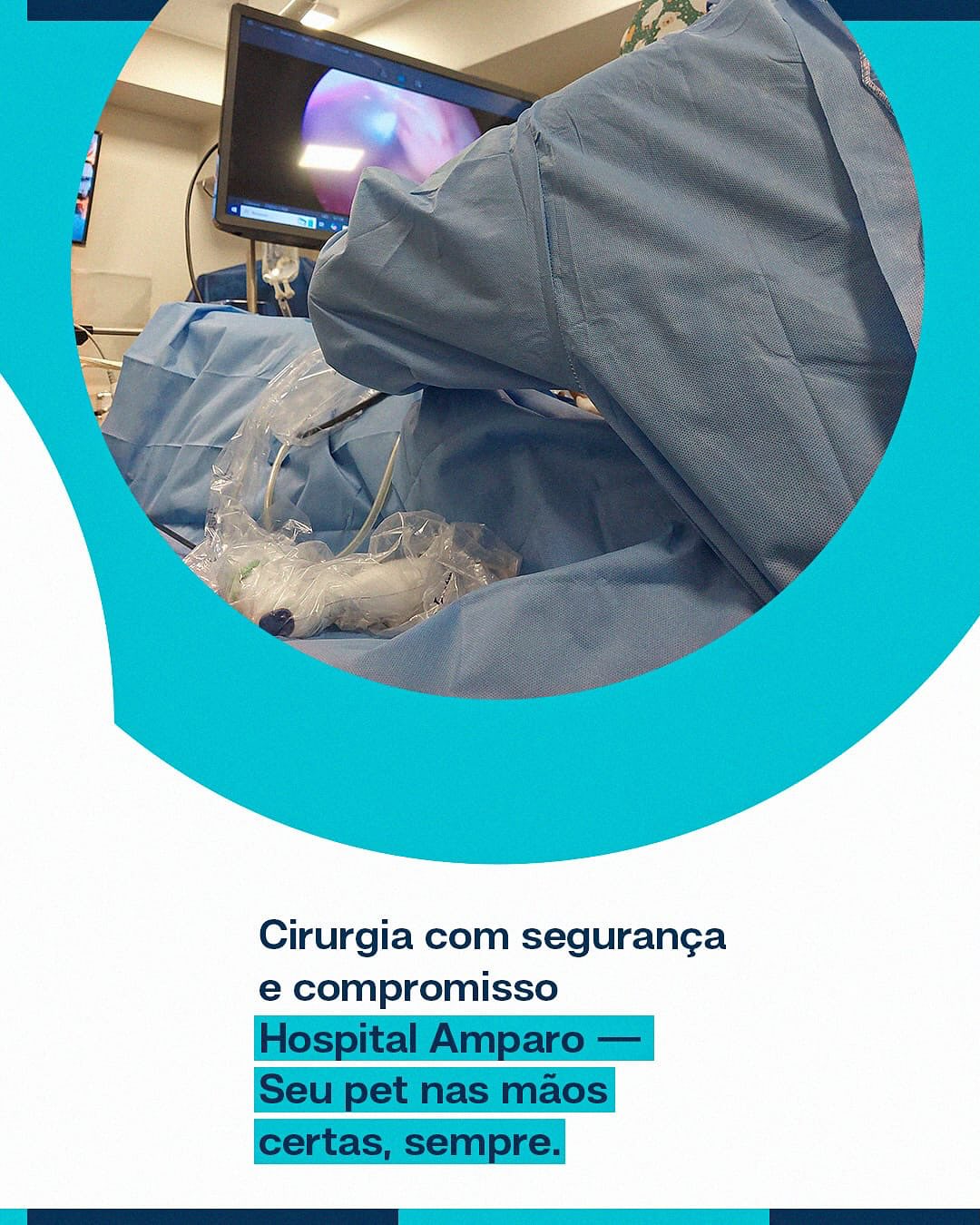 No Hospital Amparo Vet, estamos preparados para oferecer o melhor cuidado possíve!