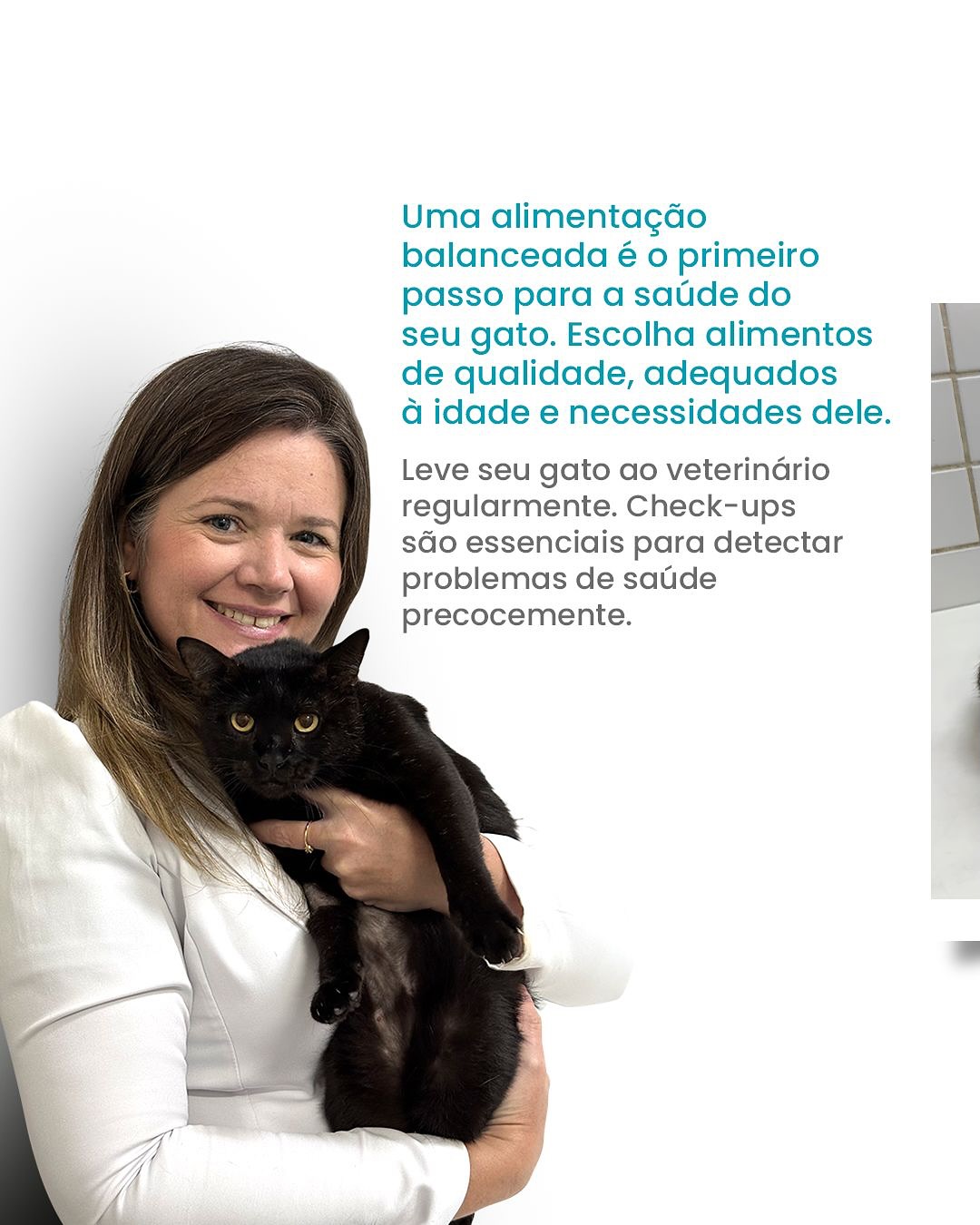 Se você quer ver seu gato realmente feliz e saudável, conte com a AMIGO MEU!