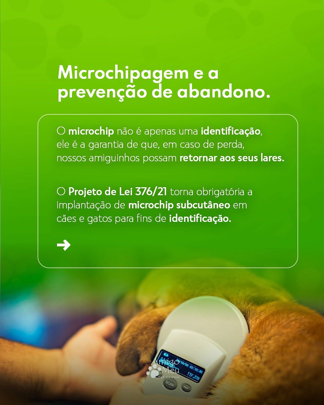 Agora é LEI: microchipagem obrigatória para cães e gatos!