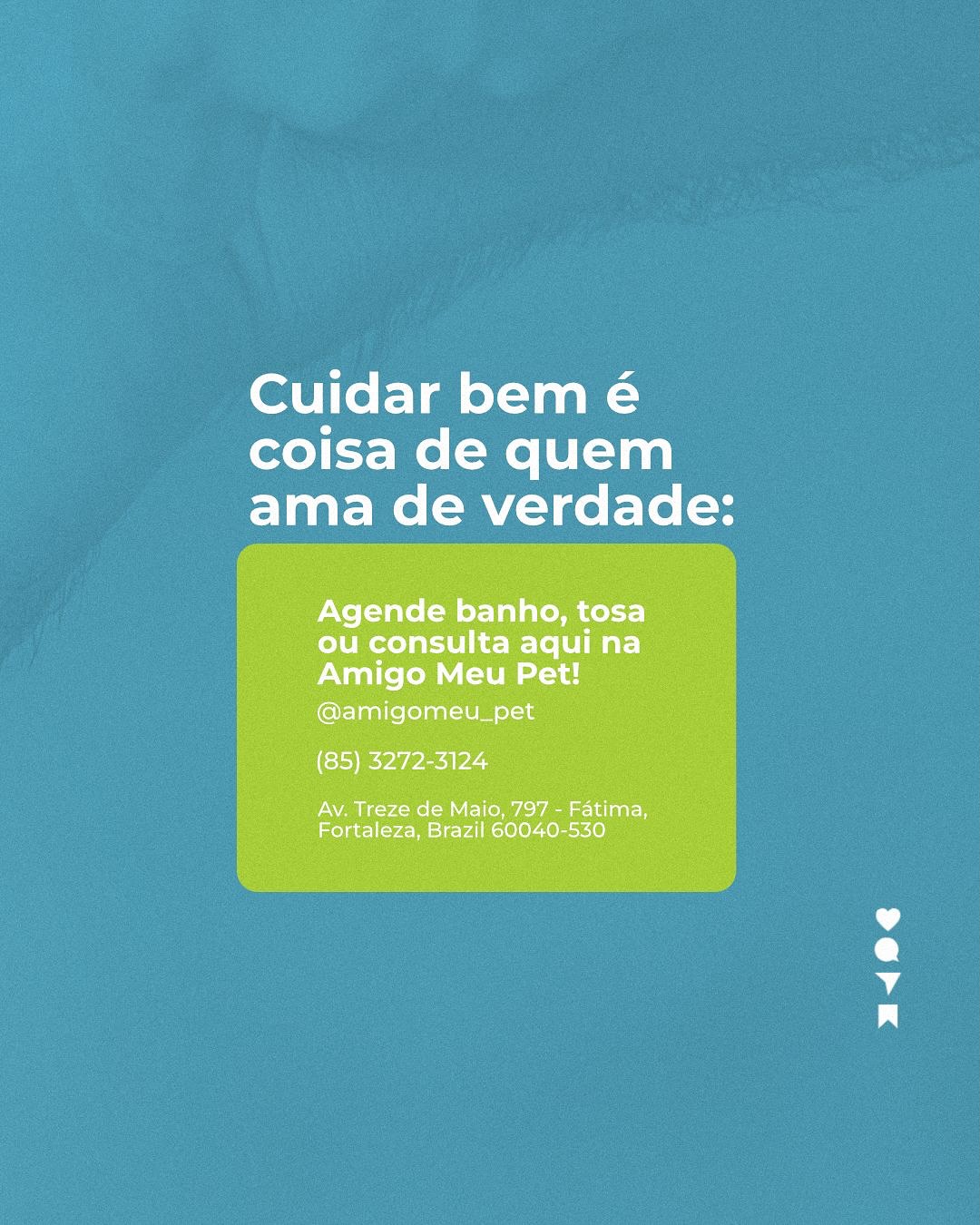 Calor de Fortaleza exige cuidado redobrado com seu pet!
