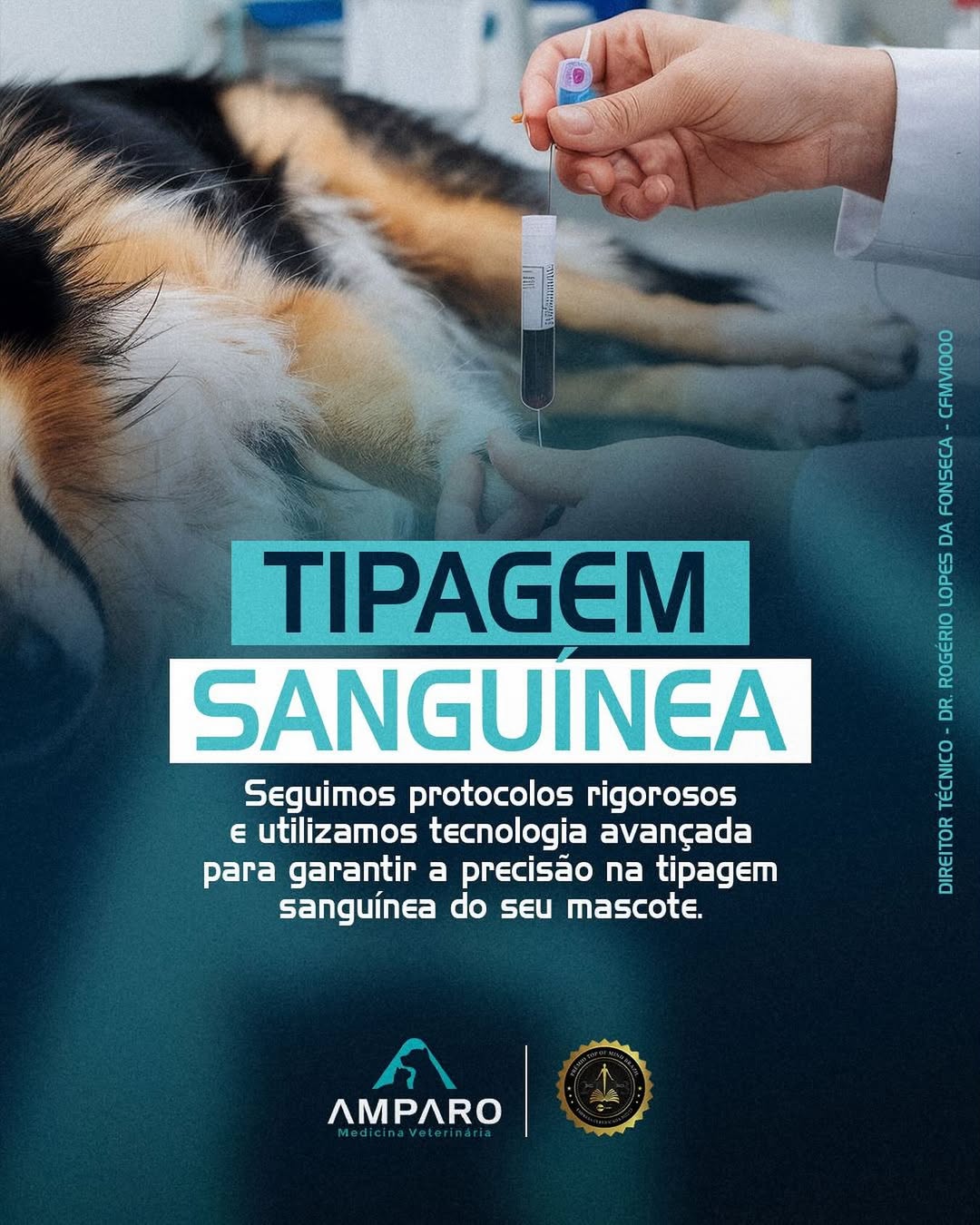Tipagem Sanguínea