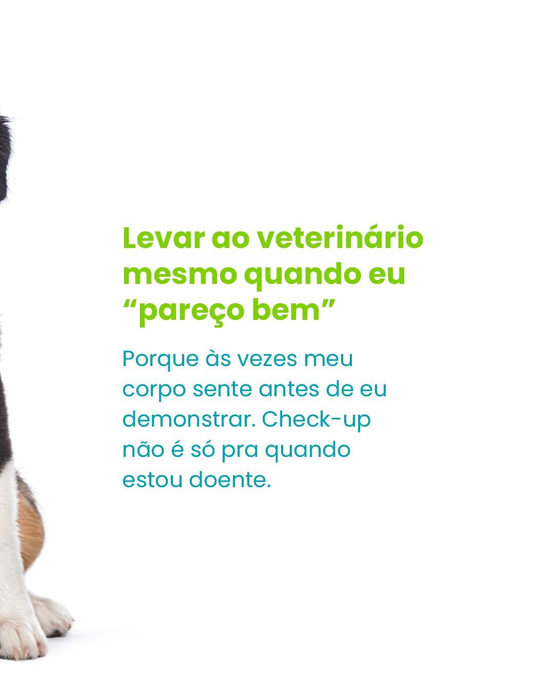 Traga seu amigão para a Amigo Meu Pet e deixe a gente cuidar dele com o carinho e a responsabilidade que ele merece!