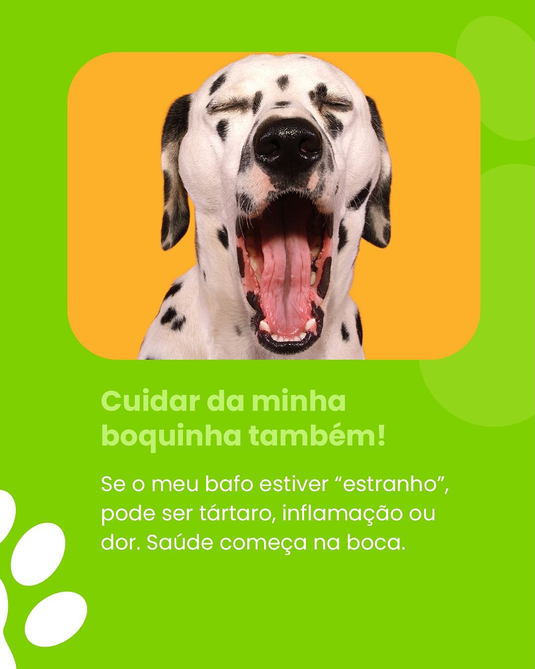 Traga seu amigão para a Amigo Meu Pet e deixe a gente cuidar dele com o carinho e a responsabilidade que ele merece!
