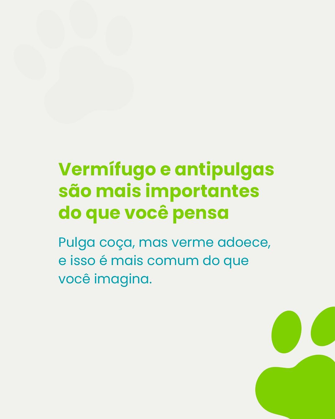 Traga seu amigão para a Amigo Meu Pet e deixe a gente cuidar dele com o carinho e a responsabilidade que ele merece!