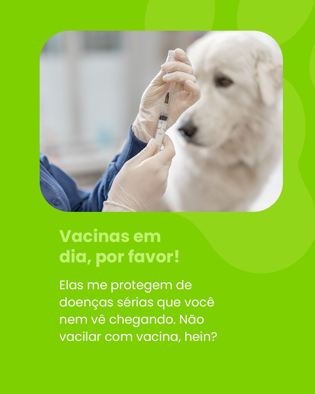 Traga seu amigão para a Amigo Meu Pet e deixe a gente cuidar dele com o carinho e a responsabilidade que ele merece!