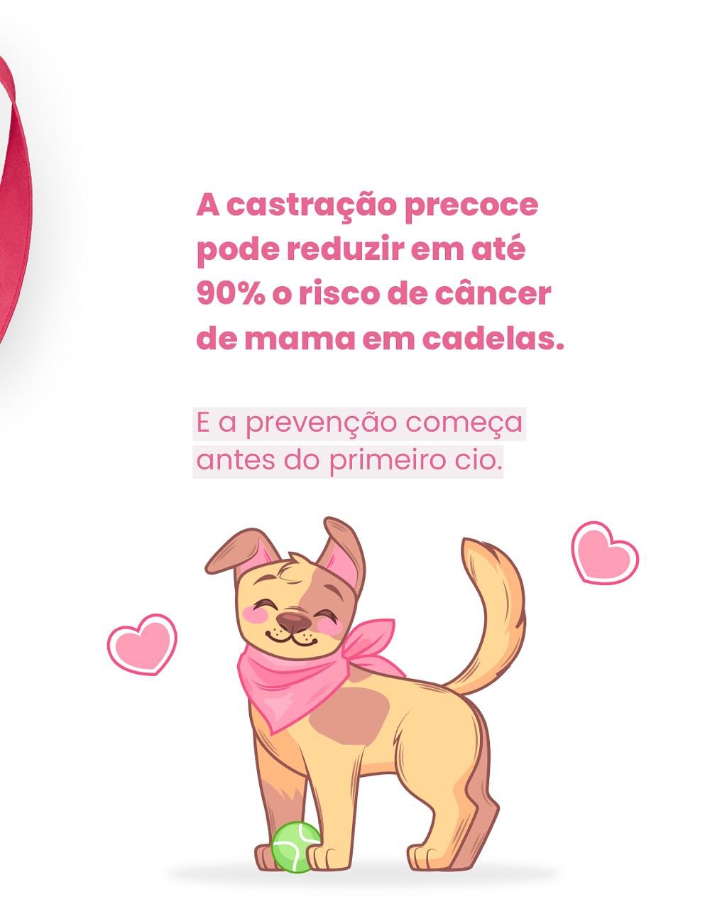 Já marcou o check-up da sua melhor amiga?