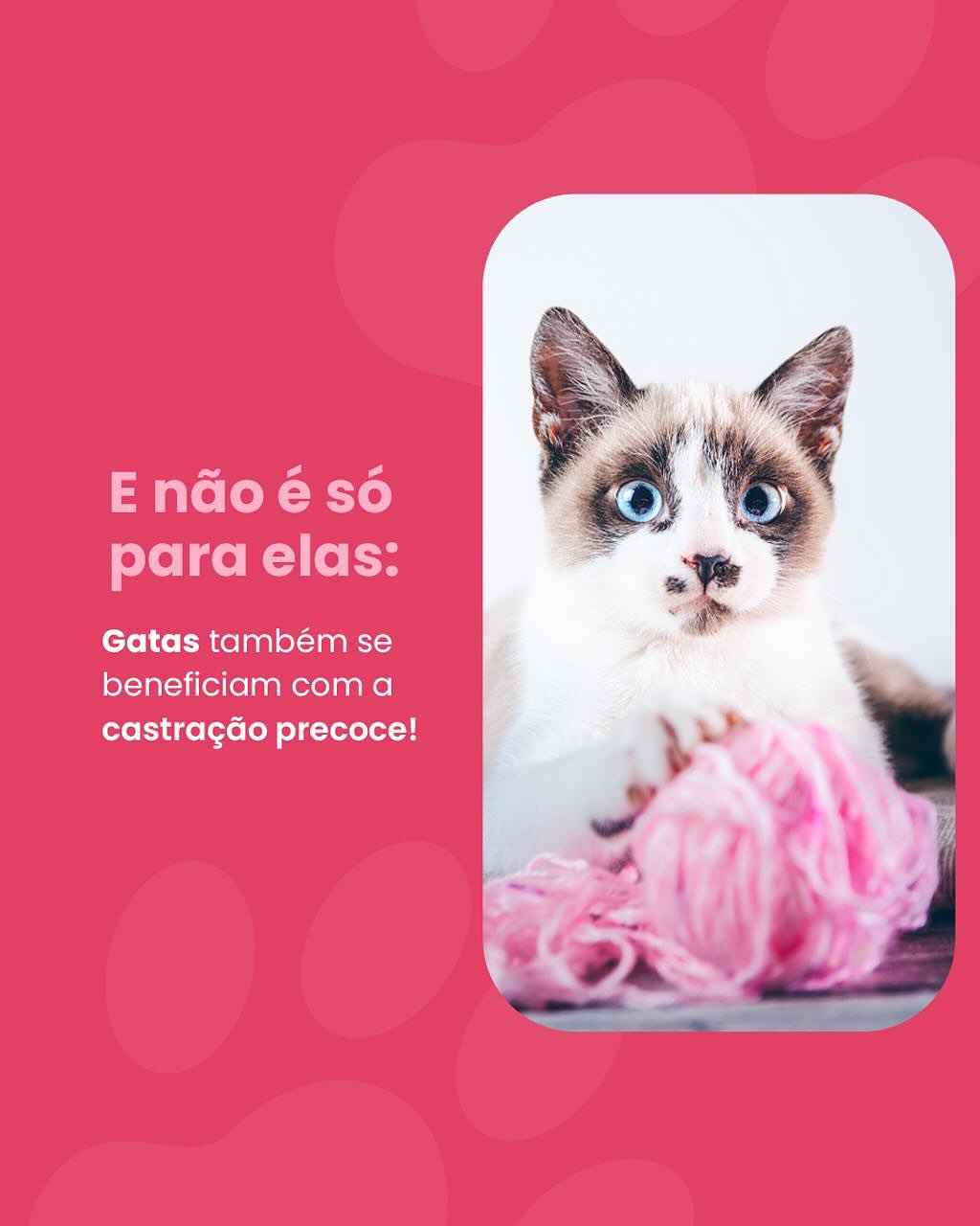 Já marcou o check-up da sua melhor amiga?