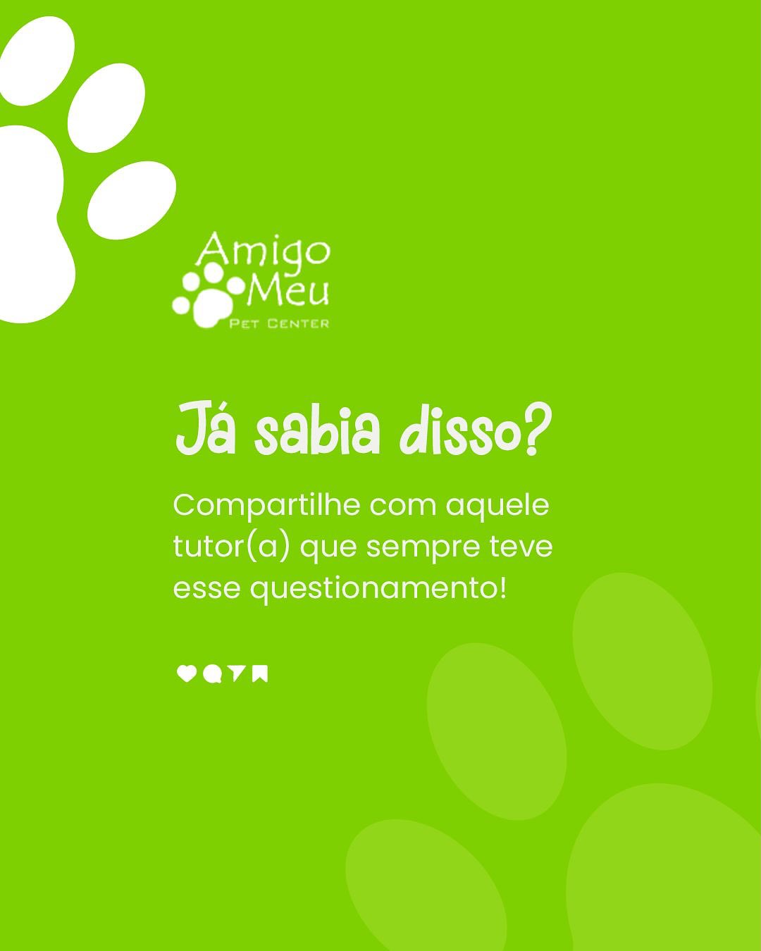 Já parou pra pensar por que seu pet insiste em te acompanhar até no banheiro?