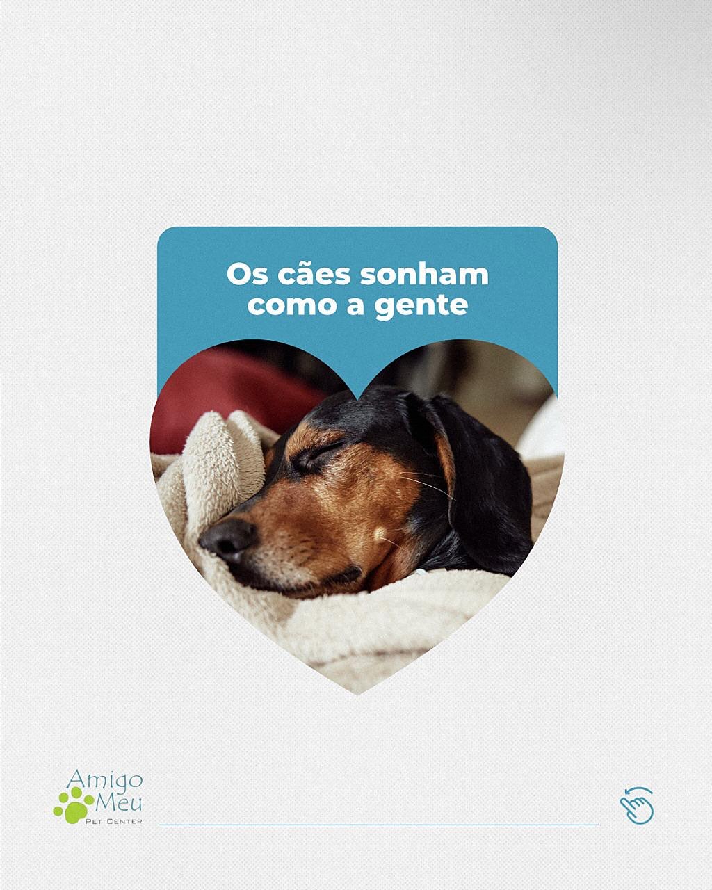 Quem aí também ama descobrir curiosidades sobre os pets?