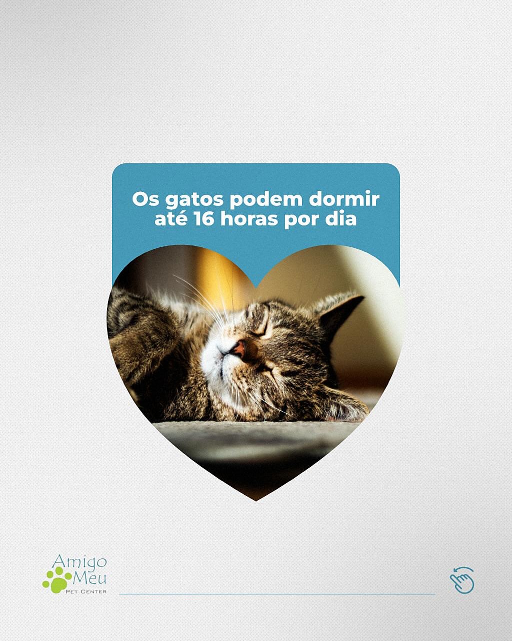 Quem aí também ama descobrir curiosidades sobre os pets?