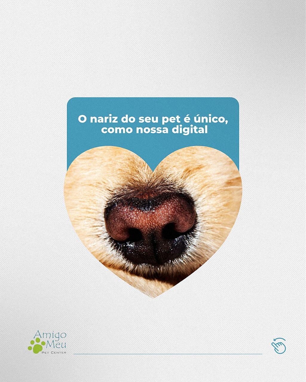 Quem aí também ama descobrir curiosidades sobre os pets?
