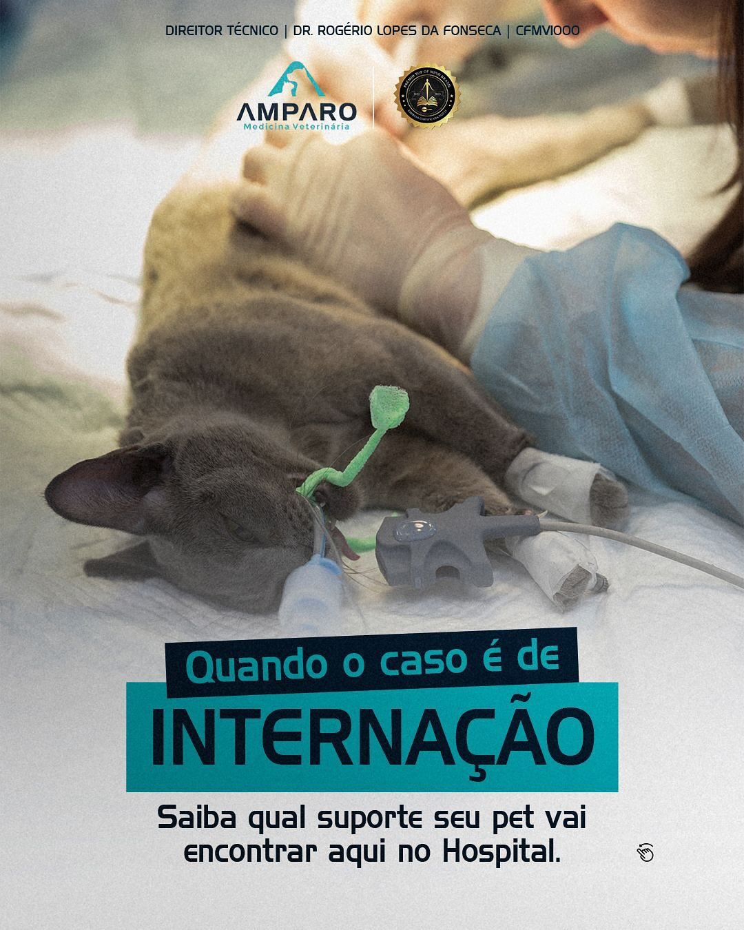 Quando o caso é de internação