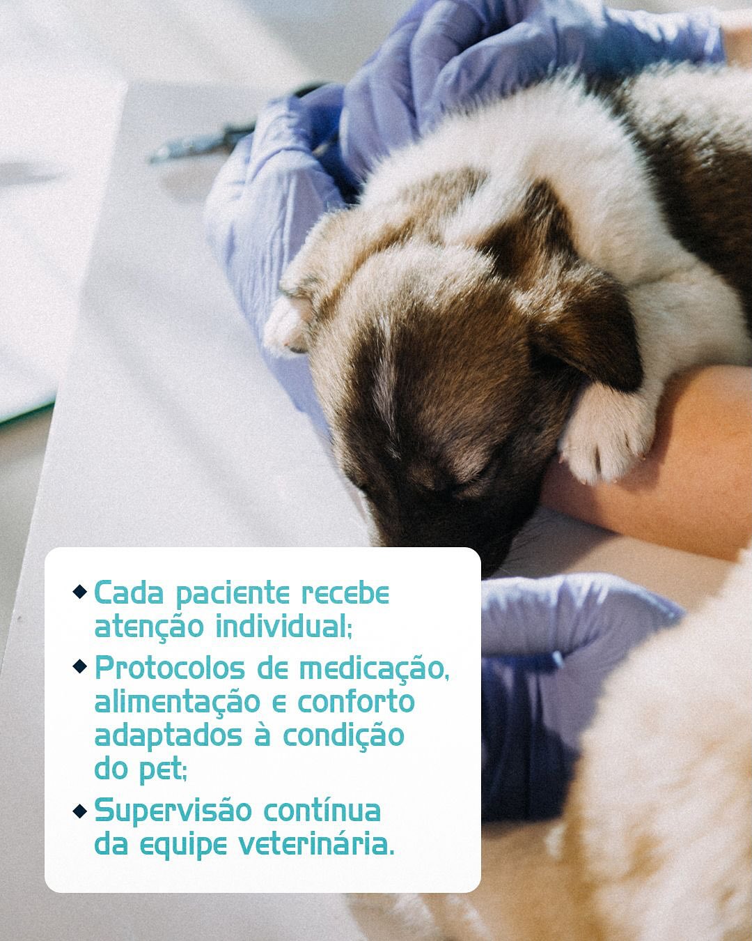 Quando o caso é de internação