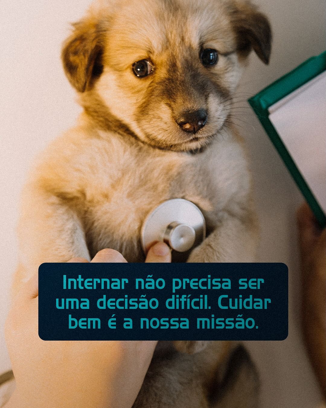 Quando o caso é de internação