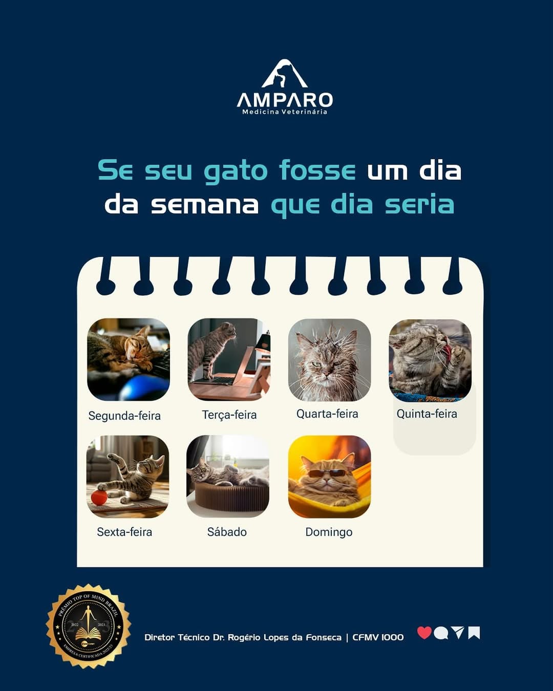 Se seu gato fosse um dia da semana que dia seria