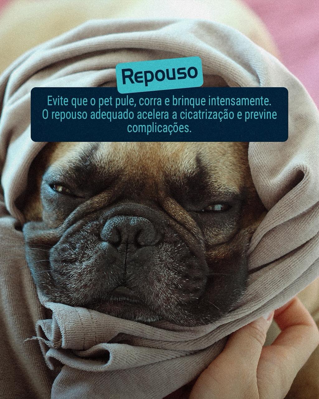 Os cuidados essenciais nas primeiras 48h