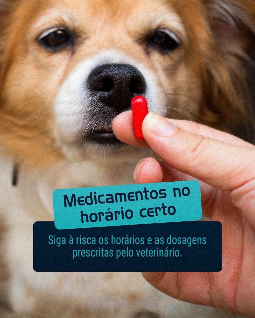 Os cuidados essenciais nas primeiras 48h