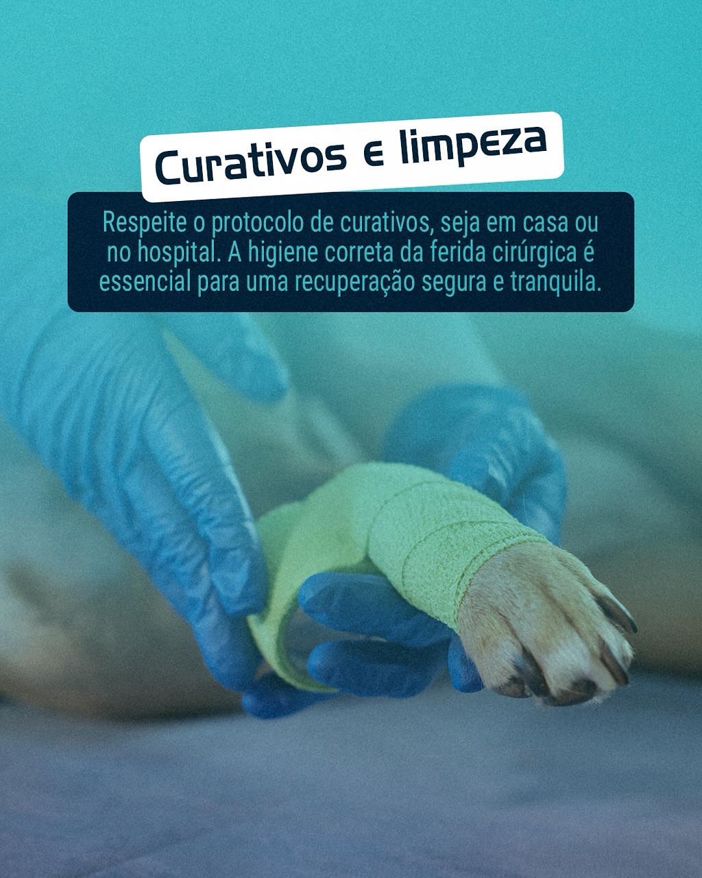 Os cuidados essenciais nas primeiras 48h