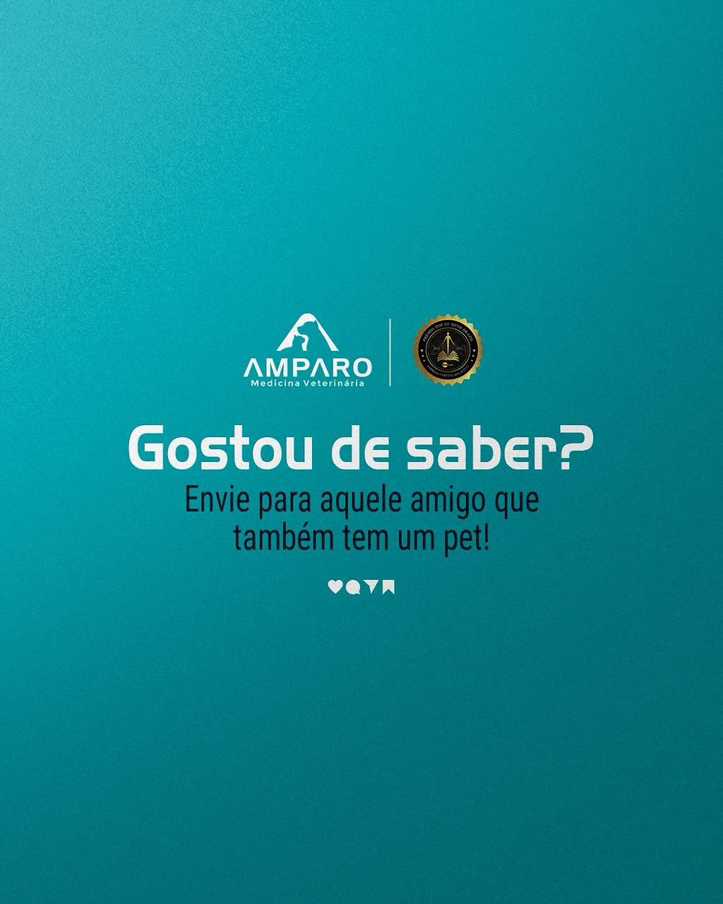 Os cuidados essenciais nas primeiras 48h