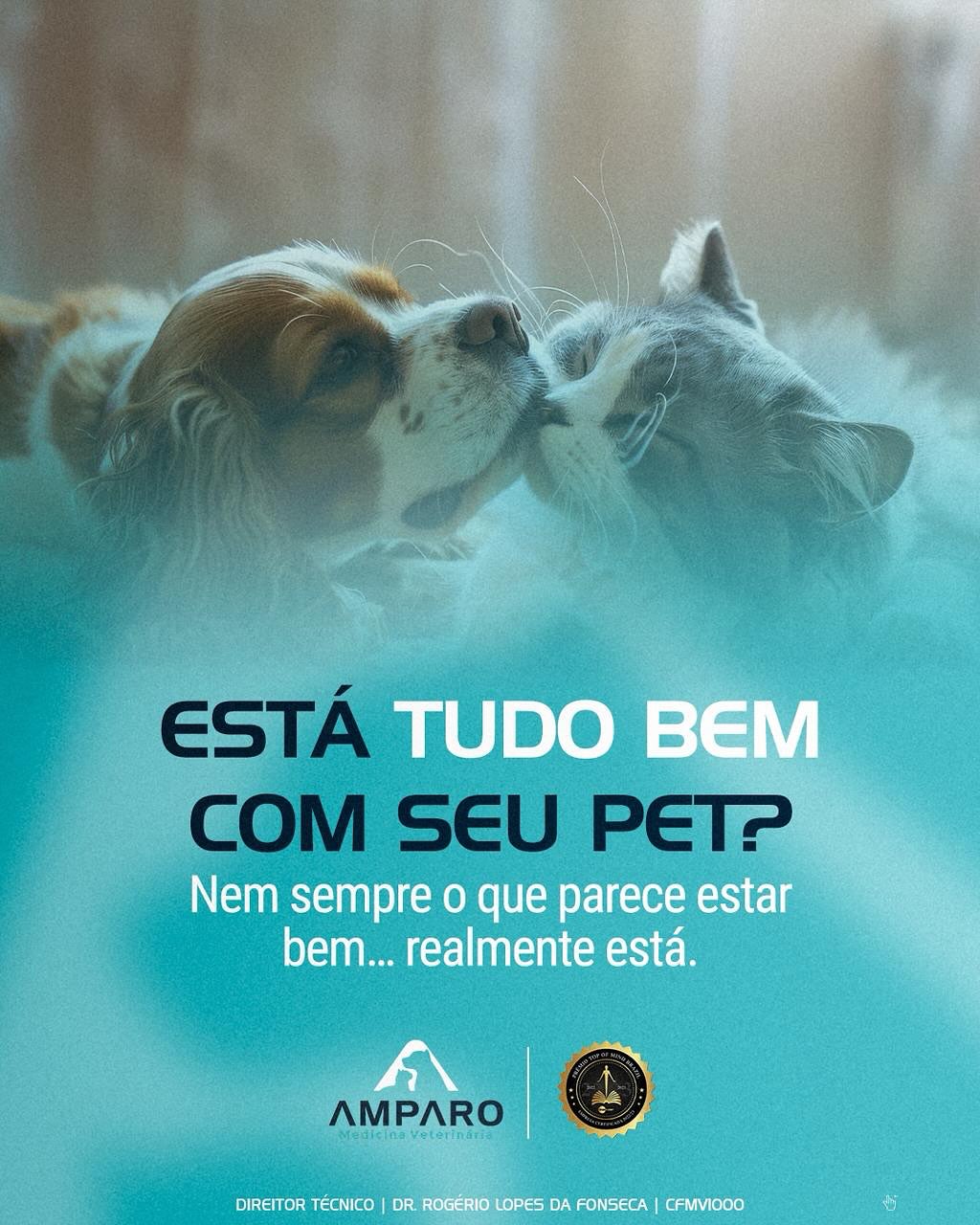 Está tudo bem com seu pet?