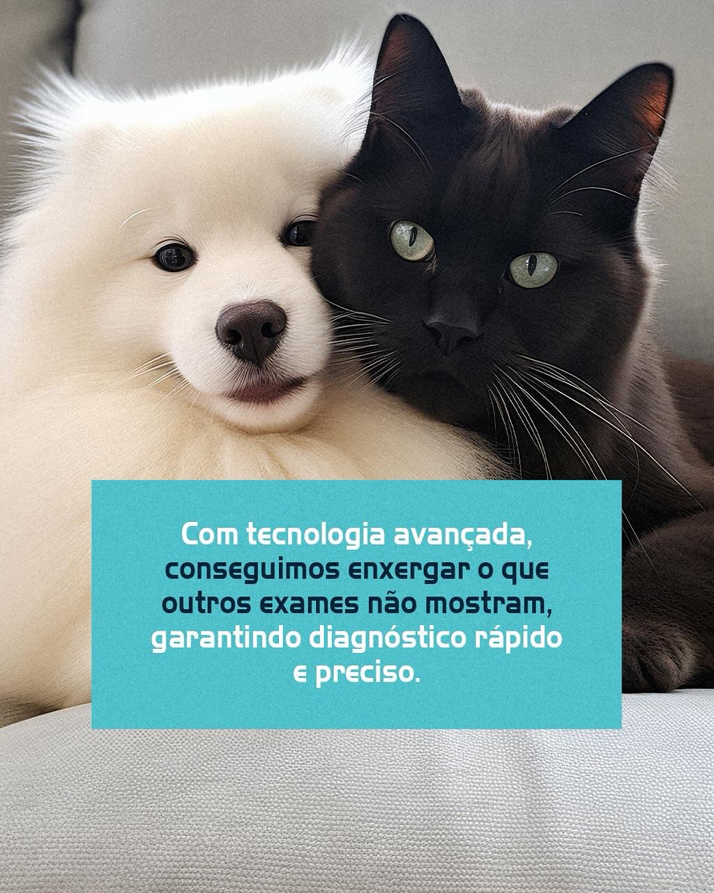 Está tudo bem com seu pet?