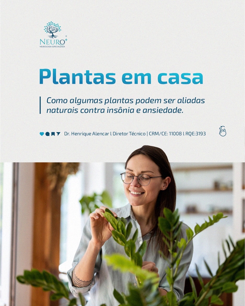 Plantas em casa