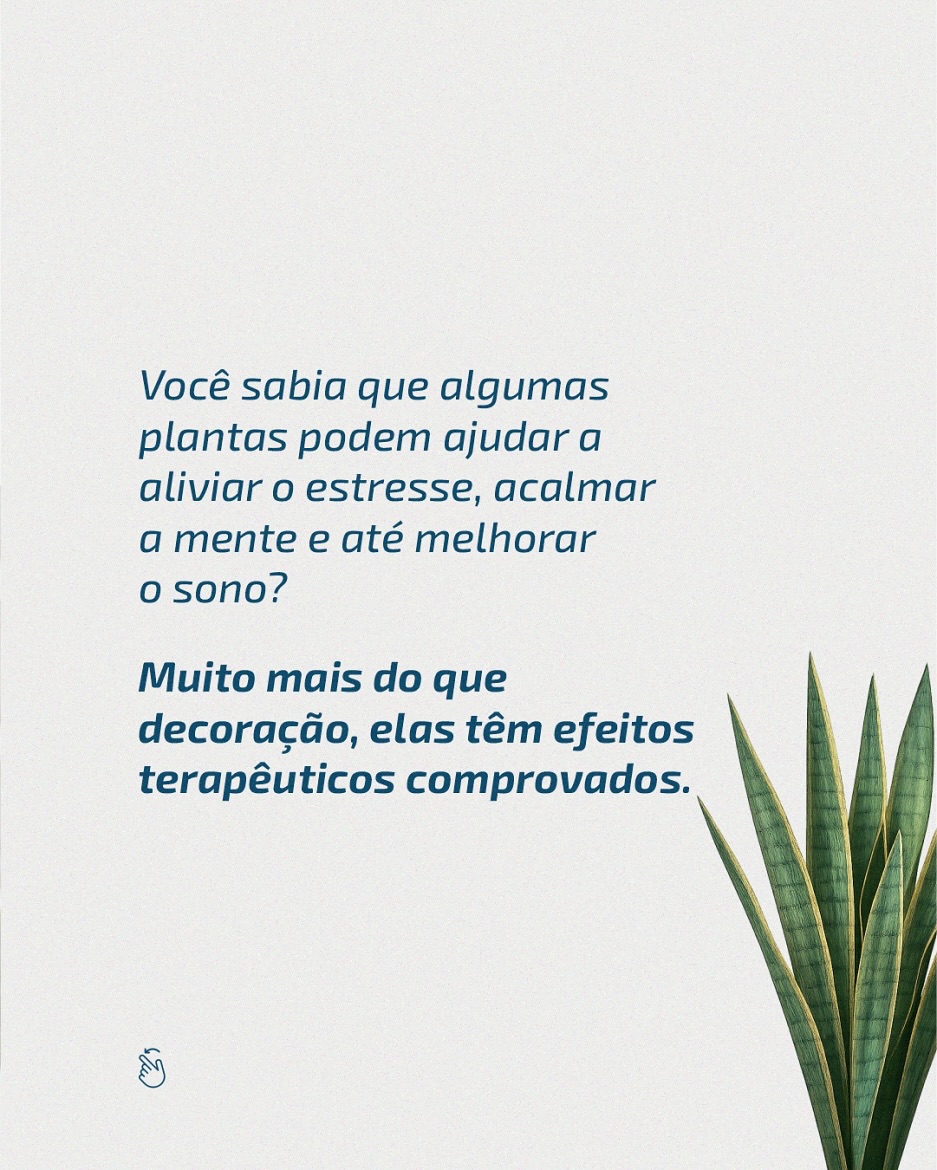 Plantas em casa