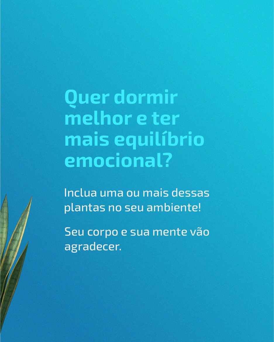 Plantas em casa