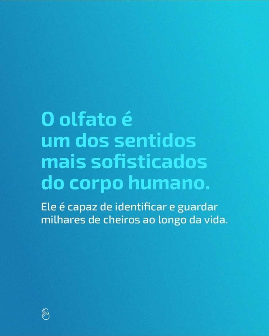 Curiosidade sobre o corpo humano