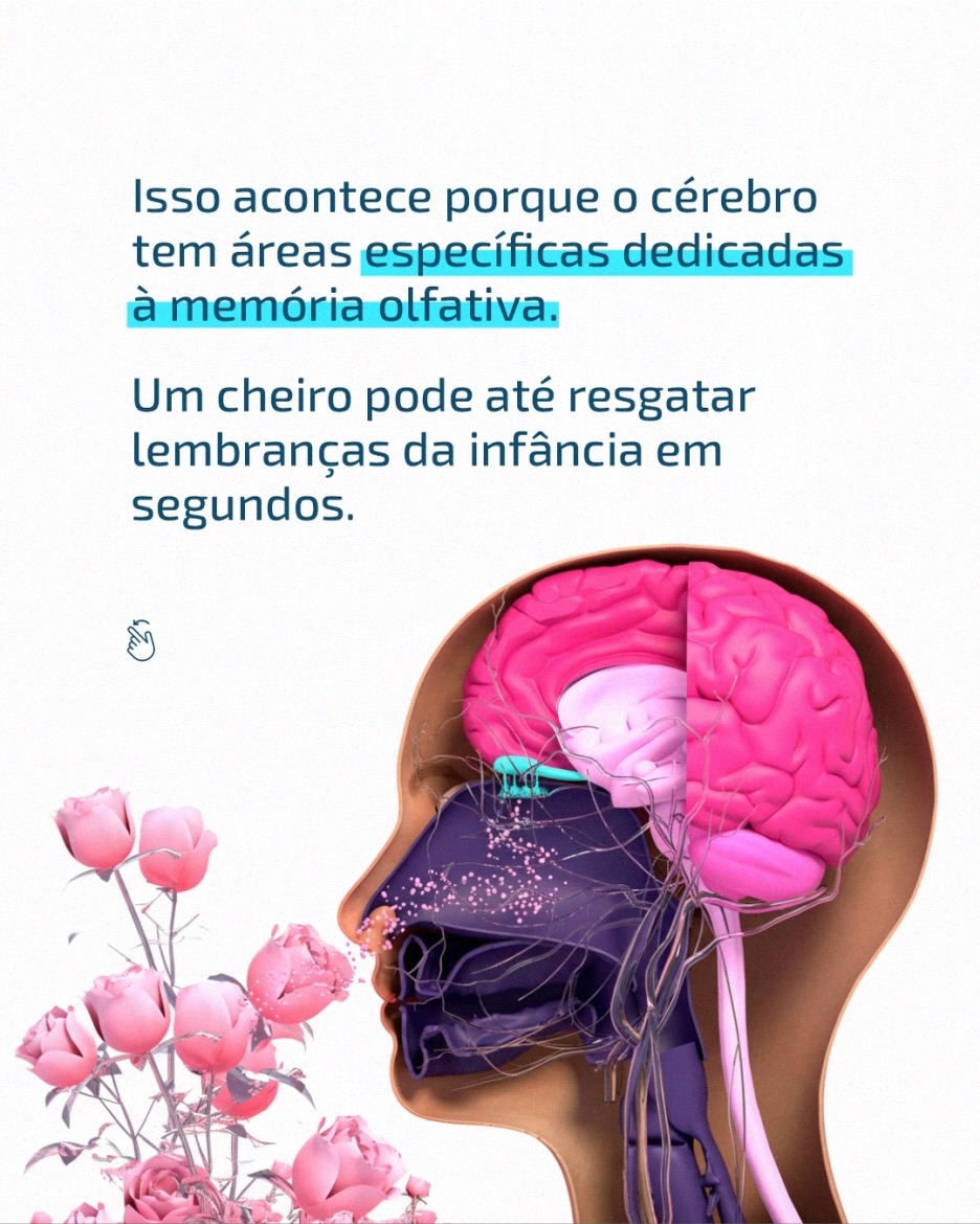 Curiosidade sobre o corpo humano