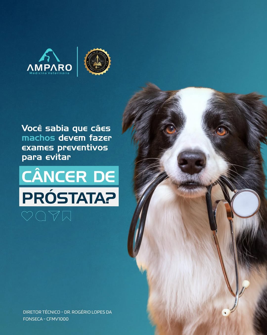 Você sabia que cãea machos devem fazer exames preventivos para evitar cãncer de próstata?