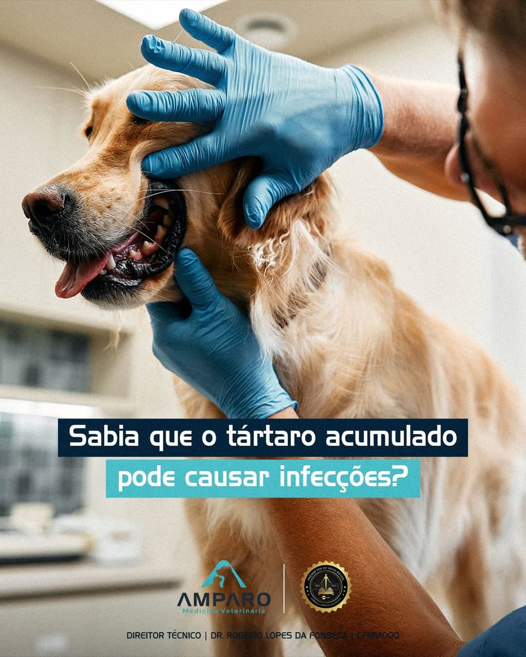 Sabia que o tártaro acumulado pode causar infecções?