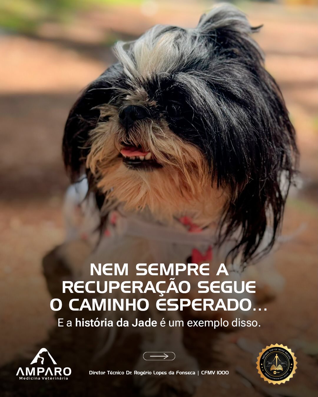 Nem sempre a recuperação segue o caminho esperado...