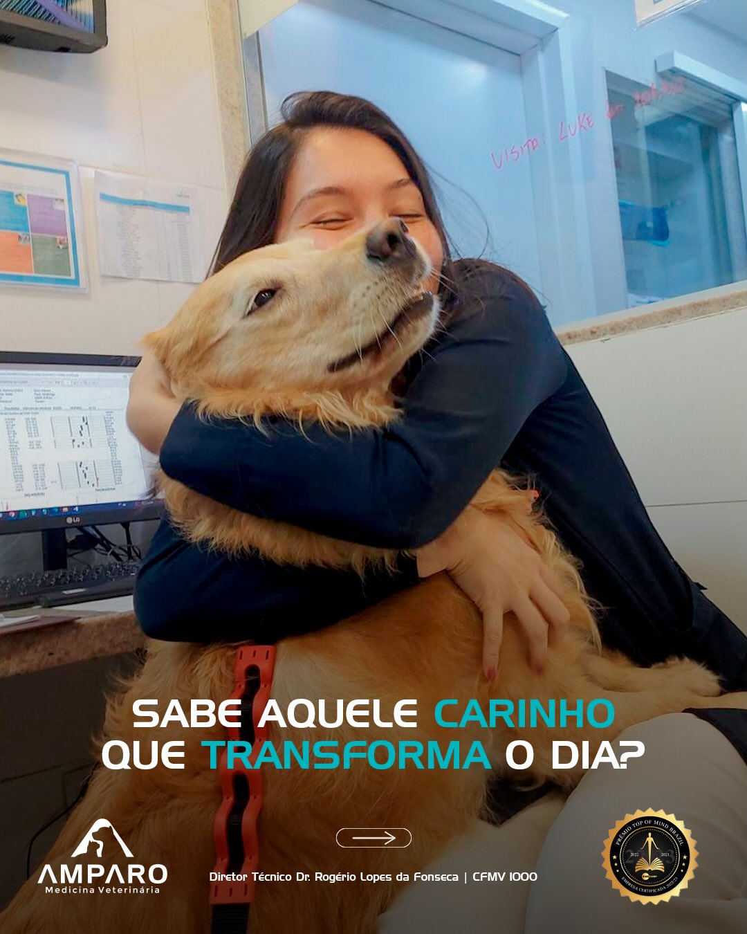 Sabe aquele carinho que transforma o dia?