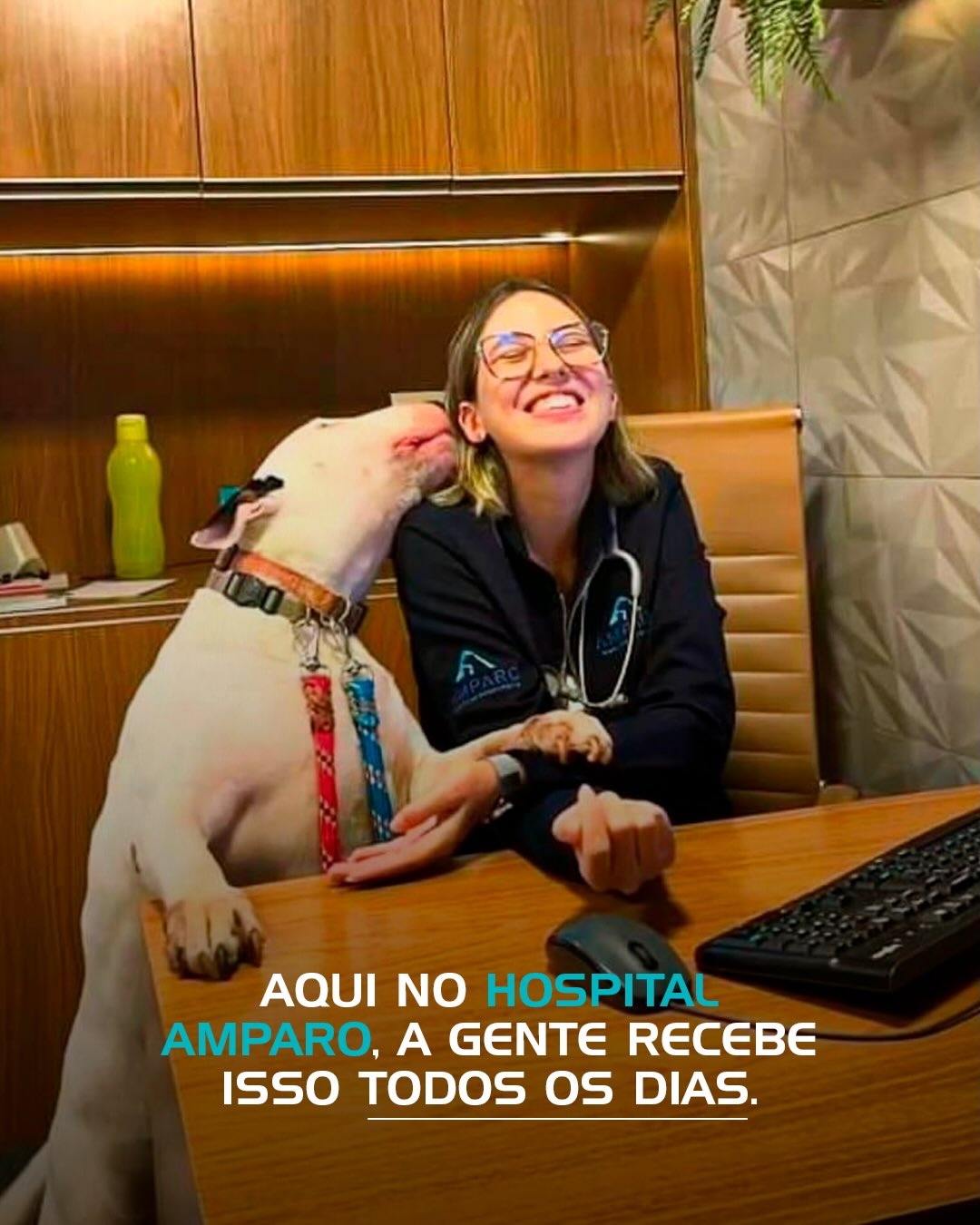 Sabe aquele carinho que transforma o dia?