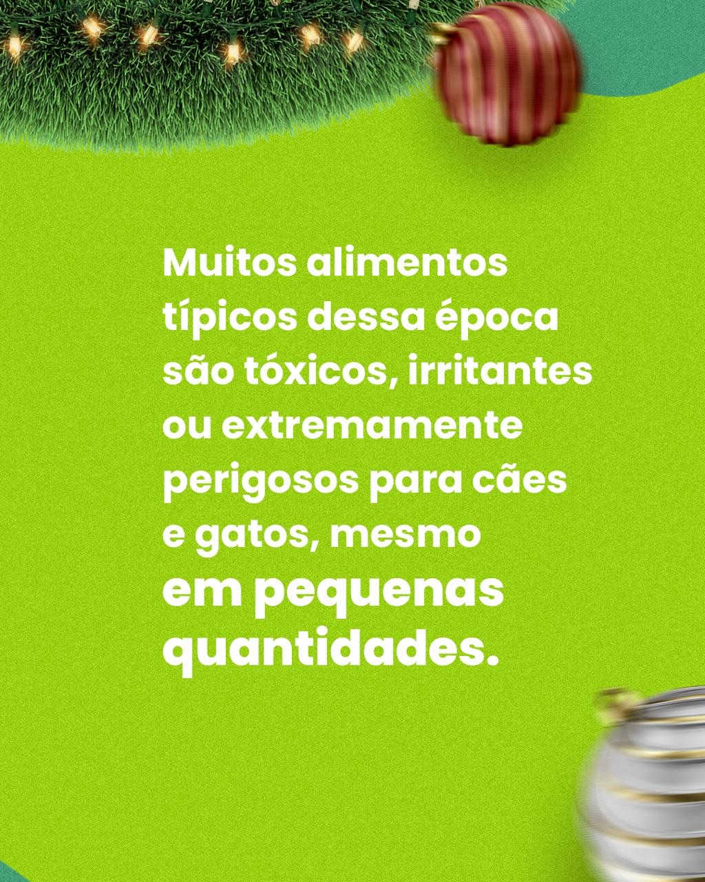 Seu pet fez aquele olhar irresistível pedindo comida da mesa?